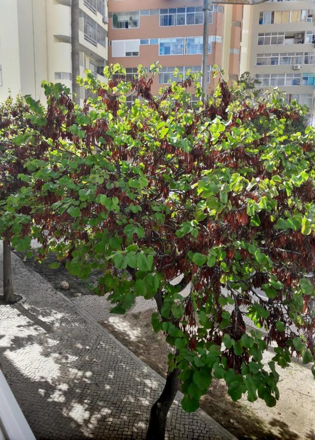 Casinha Da Ria Apartamento FAO Exterior foto